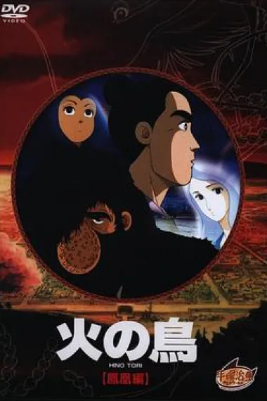 火鸟 凤凰篇 下载