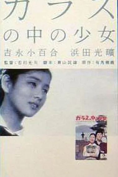 玻璃中的少女 下载