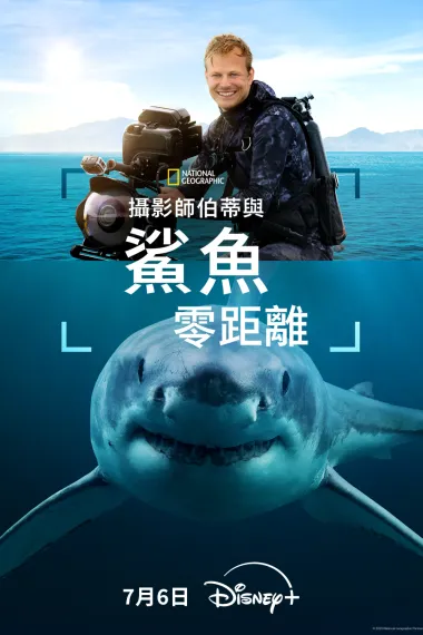 摄影师贝尔蒂与鲨鱼零距离 2160P 4K 杜比视界 下载