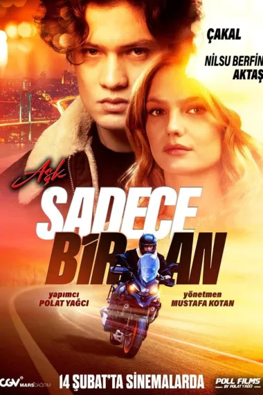 爱只在一瞬间 下载