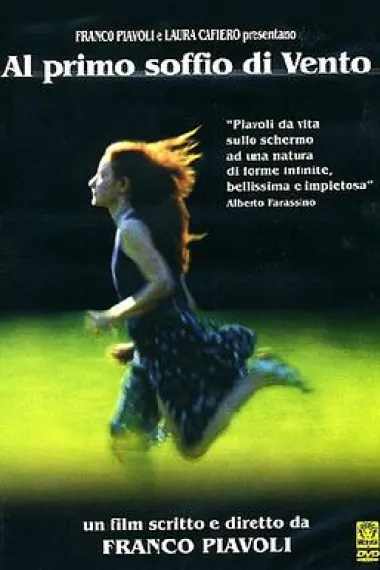 风的第一声呼吸 下载