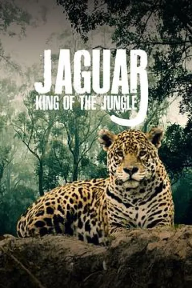 美洲豹的生存挑战 下载