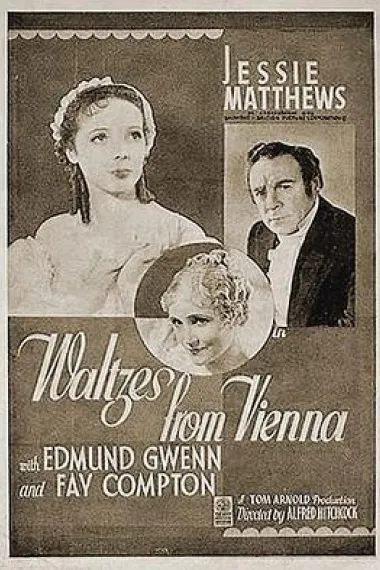 维也纳的华尔兹 下载