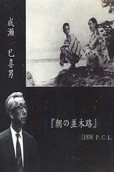 早晨的林荫路 下载