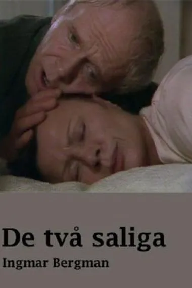 被祝福的一对 下载