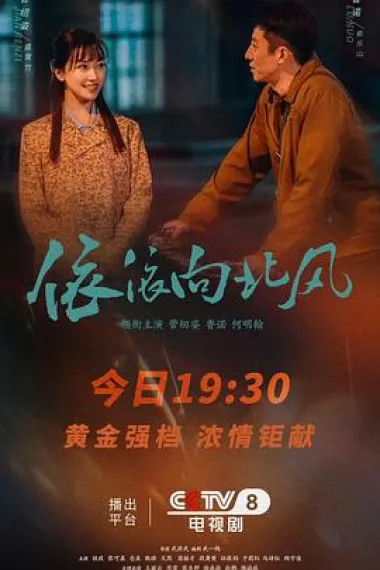 依依向北风 下载