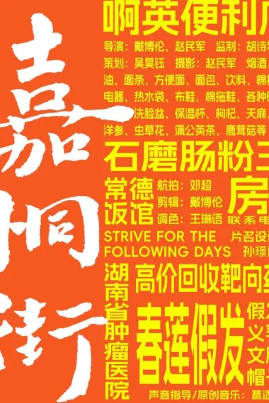 嘉桐街（暂名） 2160P 4K 下载