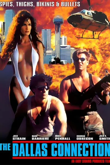 执法女先锋2 下载