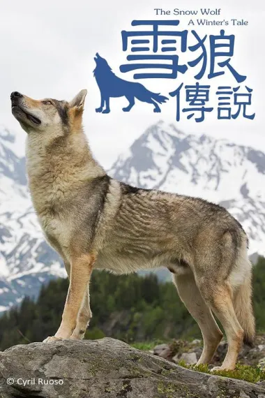 雪中雌狼：冬日传说 下载