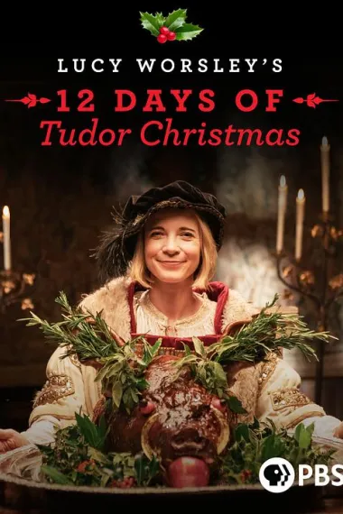 露西·沃斯利的都铎圣诞节 下载