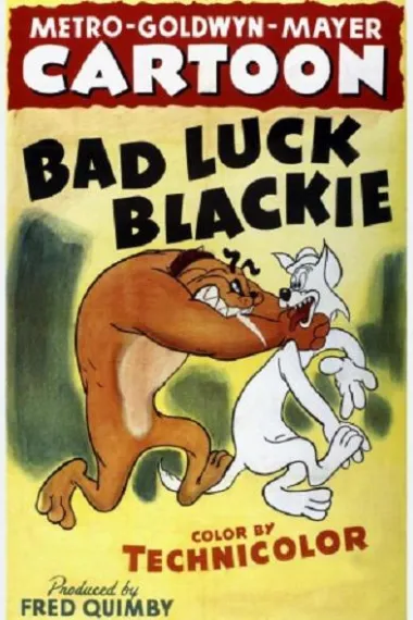 厄运小黑猫 下载