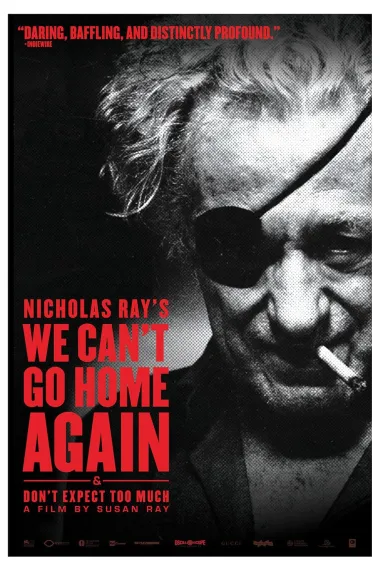 我们无法再回家 下载