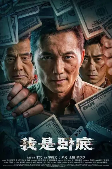 我是卧底 2160P 4K 下载