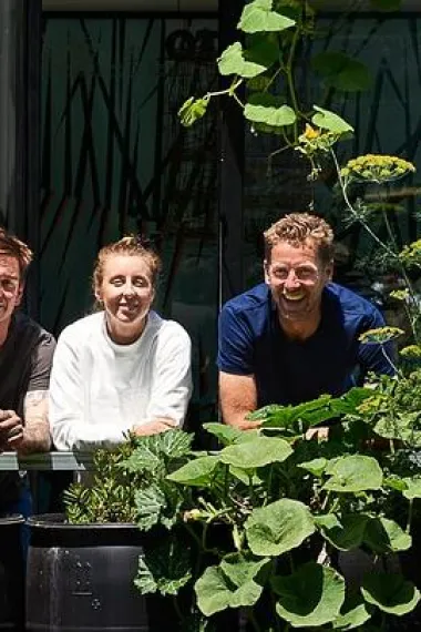 Greenhouse by Joost 下载