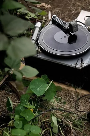 78项目电影 下载