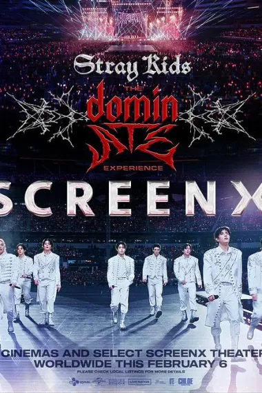 Stray Kids：主宰一切的体验 下载