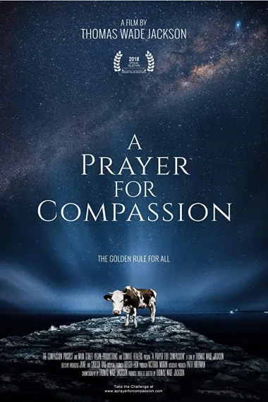 A Prayer for Compassion 下载