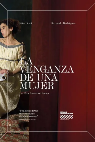 一个女人的复仇 下载