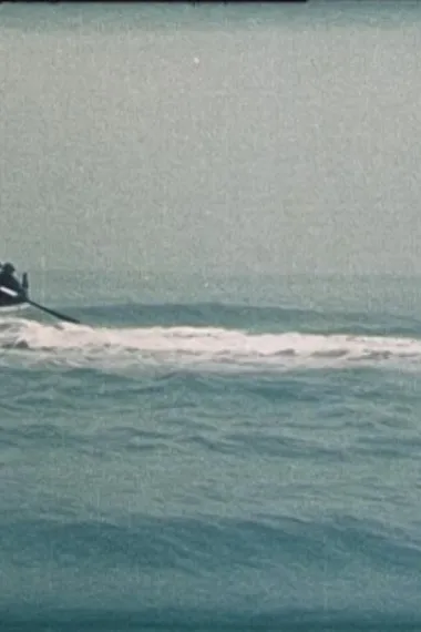 来自近期的消息 下载